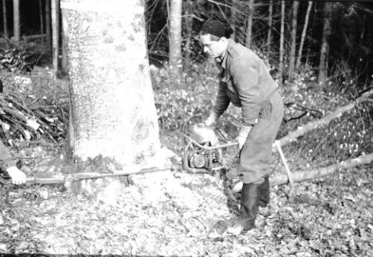 Foto Fällen mit ZMS