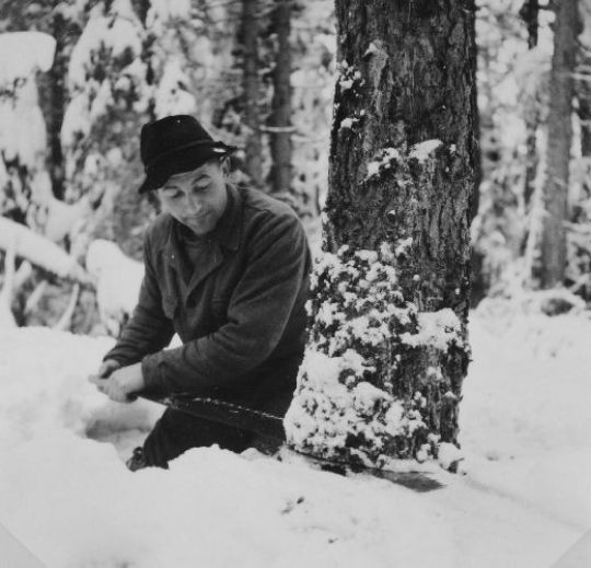 Foto Holzer knieend im Schnee