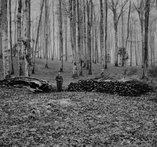 Foto Astholz aufbereitung