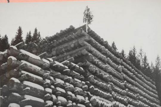 Foto Holzstapel mit rundholz