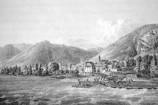 Foto Flössen im Langensee