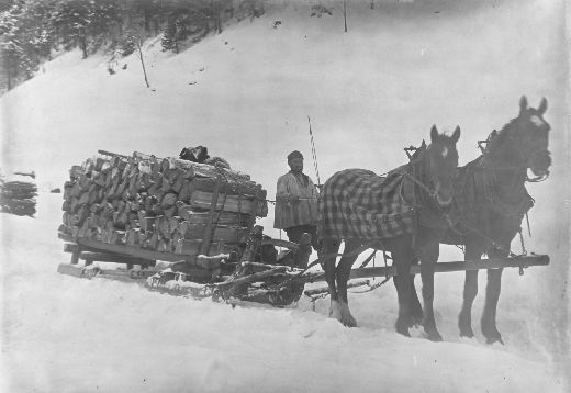 Foto Schlitten für Brennholztransport
