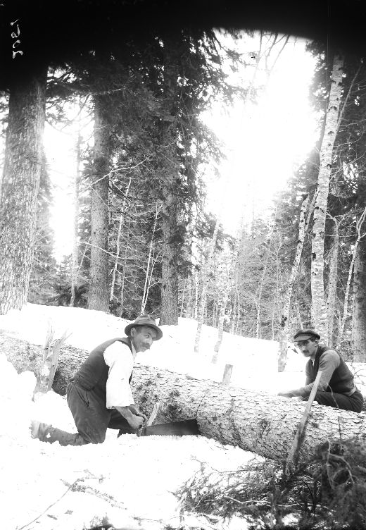 Foto Zwei Holzer beim zersägen im Schnee
