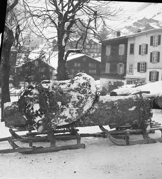 Foto Holztransport auf Doppelschlitten