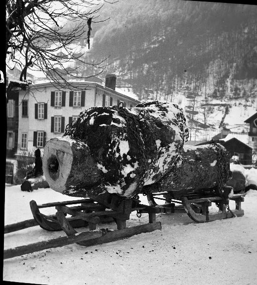 Foto Holztransport auf Doppelschlitten