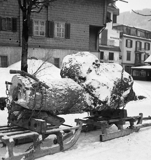 Foto Holztransport auf Doppelschlitten