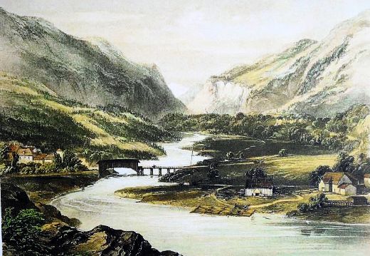 Foto Floss bei Reichenau, Rhein