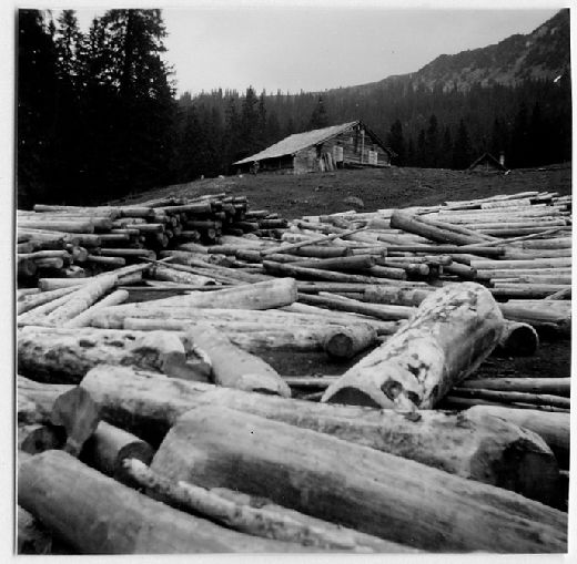 Foto Lagerplatz auf Wiese