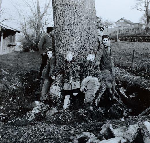 Foto Kinder stehen um einen gestockten Baum