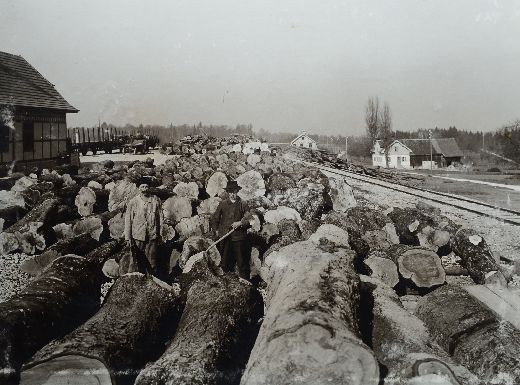 Foto Lagerplatz bei Sägerei