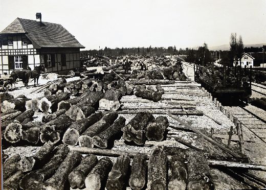 Foto Lagerplatz der Sägerei mit Bahnhof