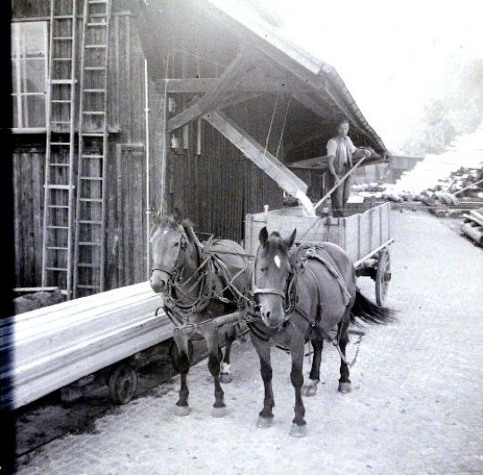Foto Aufladen von Sägemehl