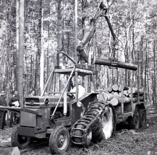 Foto Traktor mit Greifkran und Anhänger