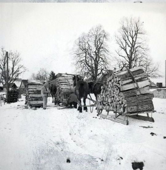 Foto Holzer im Winterwald