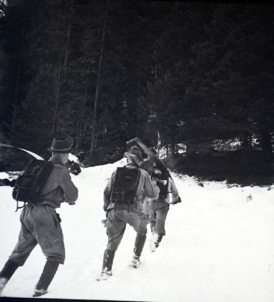 Foto Holzer auf dem Weg zur Arbeit