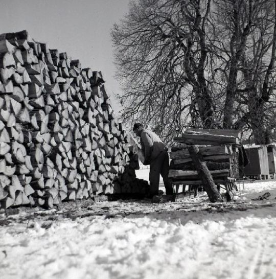 Foto Aufschichten von Brennholz ab Schlitten