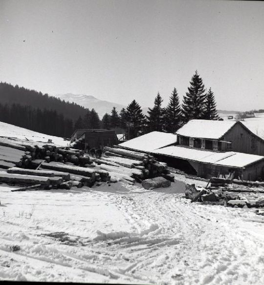 Foto Sägerei im Winter
