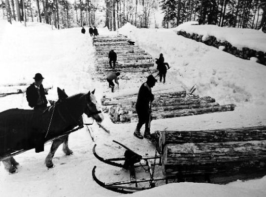 Foto Holztransport mit Schlitten