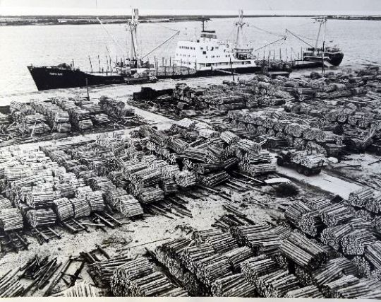 Foto Stammverlad im Hafen