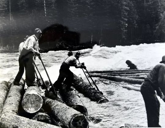 Foto Flössen und Triften