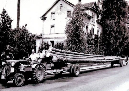 Foto Langholztransport Pfäffikon